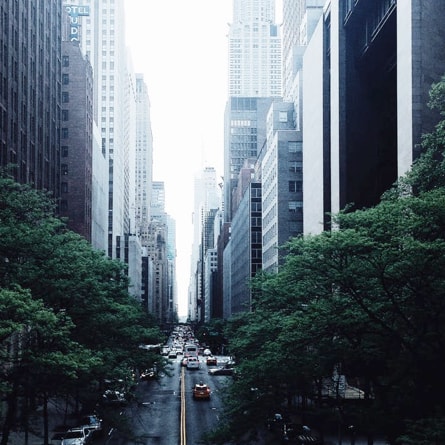 image of a city road and sky scrappers